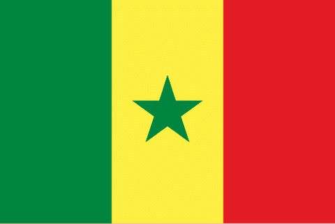 Flag: Senegal