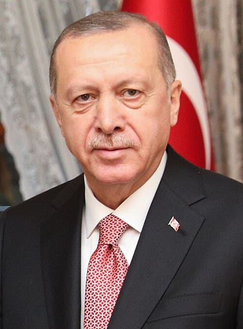 Retrato de Recep Tayyip Erdoğan