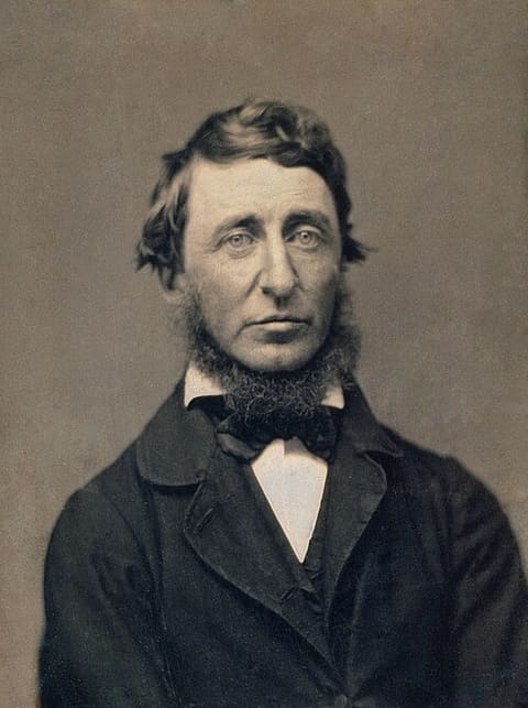 Retrato de Henry David Thoreau